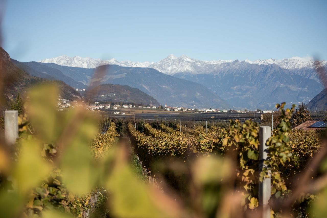 Villa Weingut Dona Appiano Sulla Strada Del Vino Exterior foto