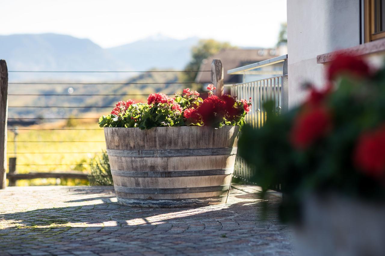 Villa Weingut Dona Appiano Sulla Strada Del Vino Exterior foto